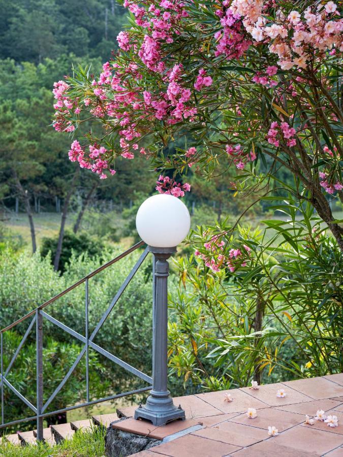 Residence Al Foionco Lucca Ngoại thất bức ảnh